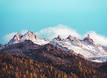 金沙乐娱场app下载｜开启你的专属娱乐新纪元