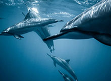 华体会赛事中心：用科技点亮每一场赛事的观感